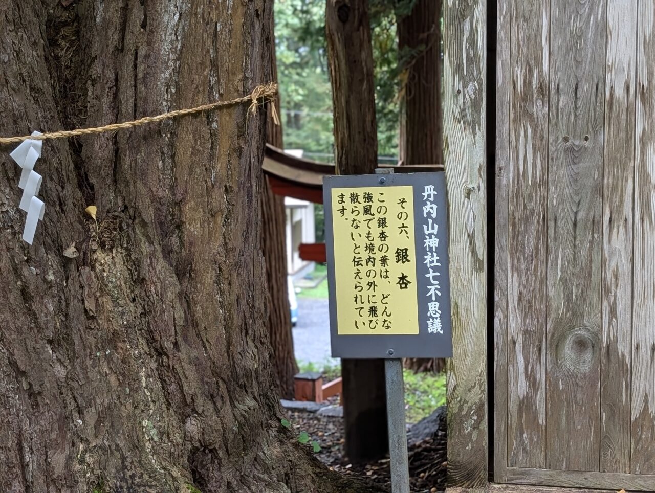 丹内山神社七不思議6