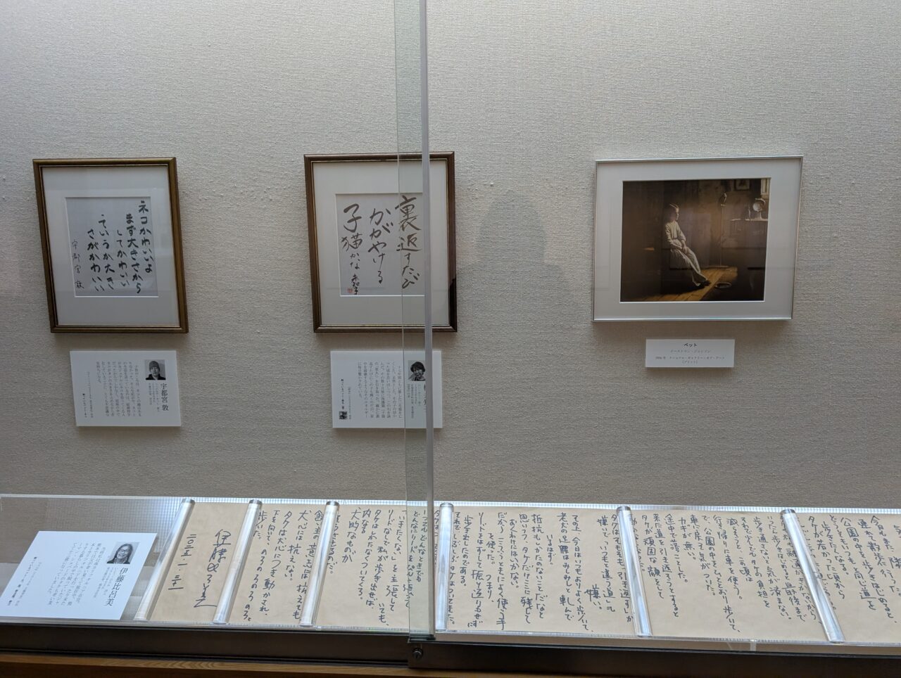 展示