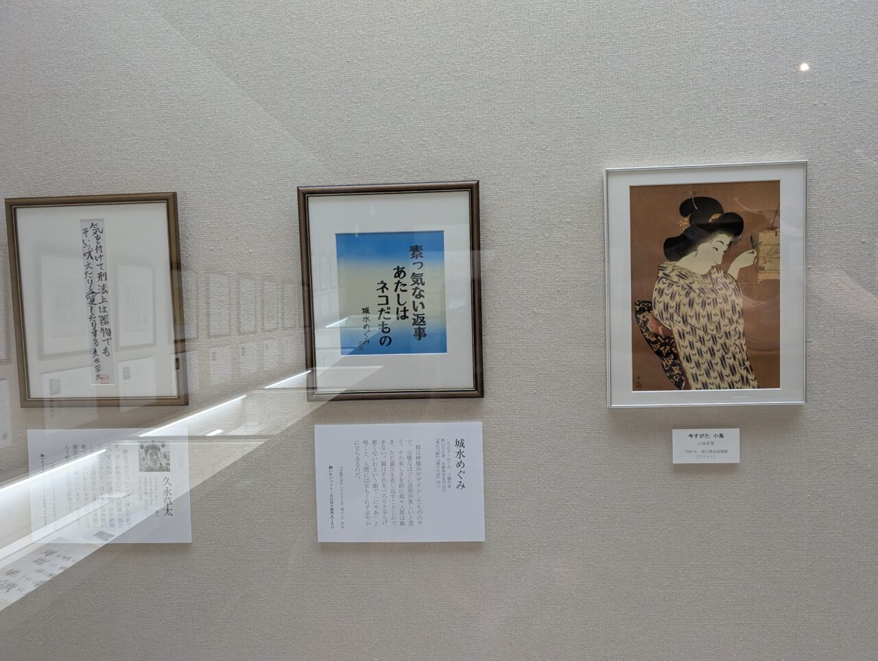 展示