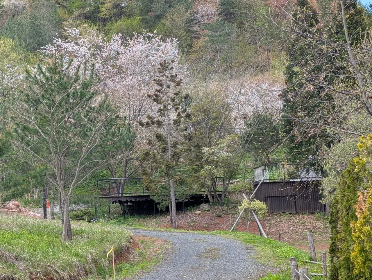 the campus5