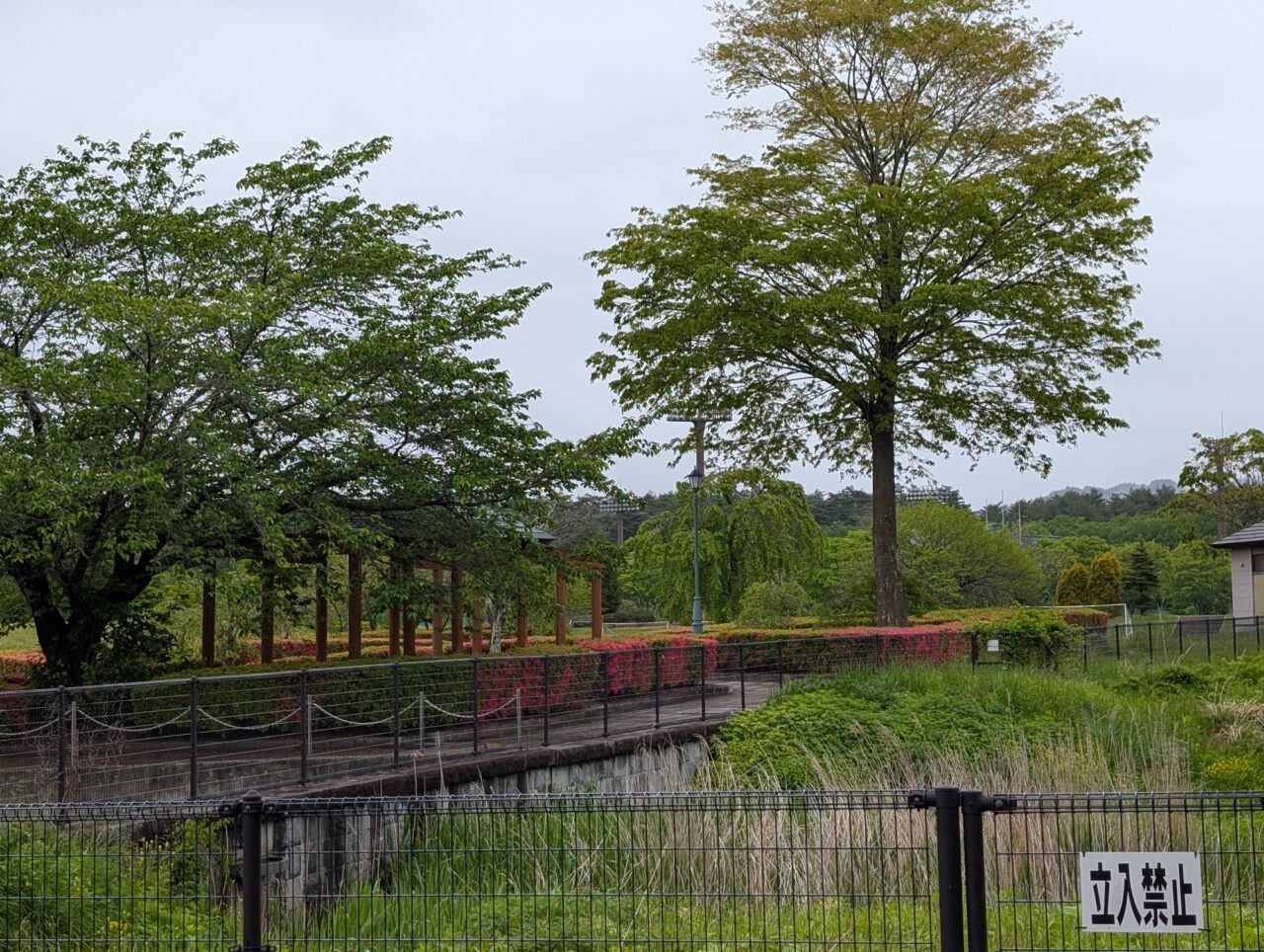 遠野運動公園風景