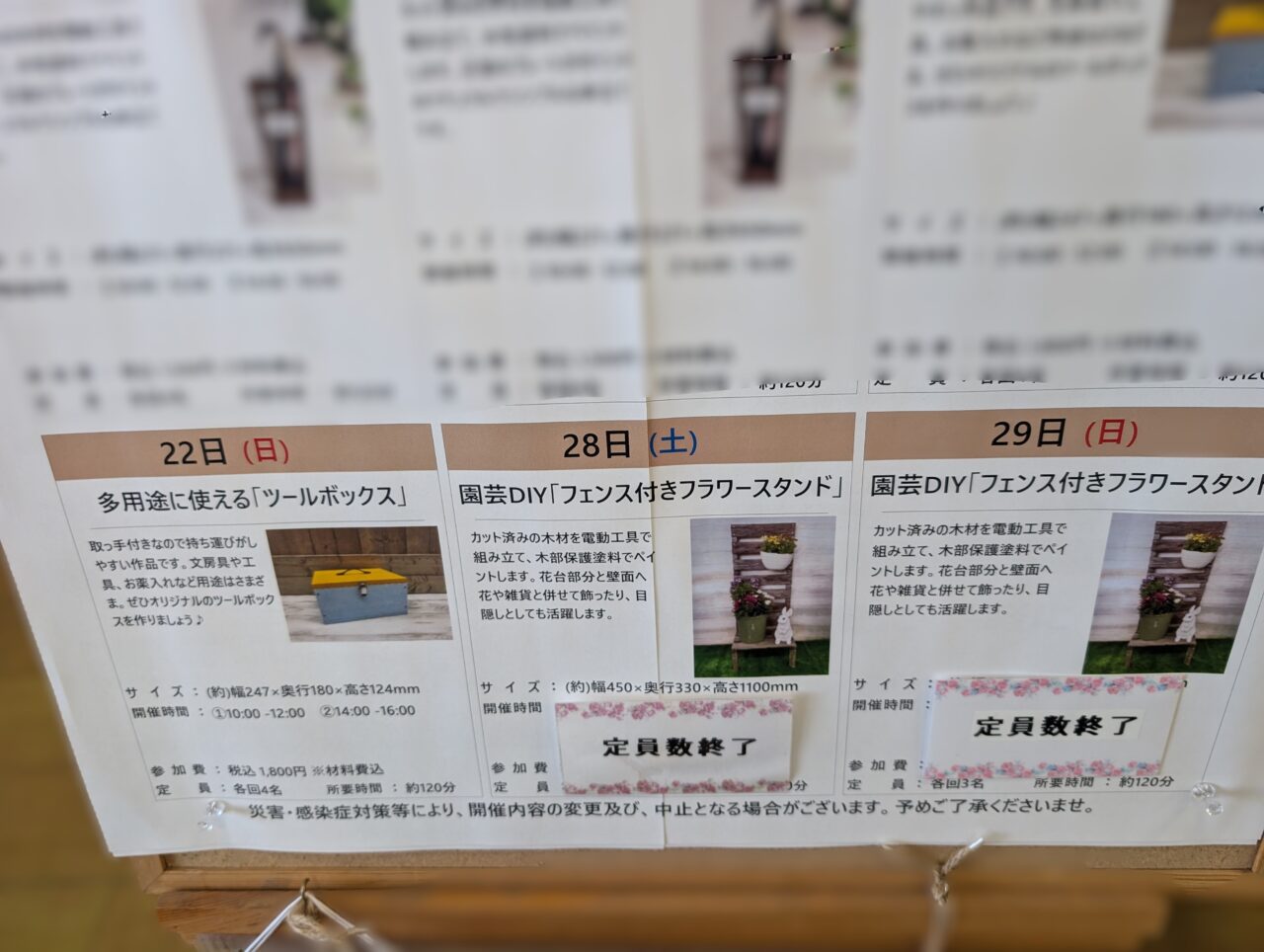 DCM6月3週・4週