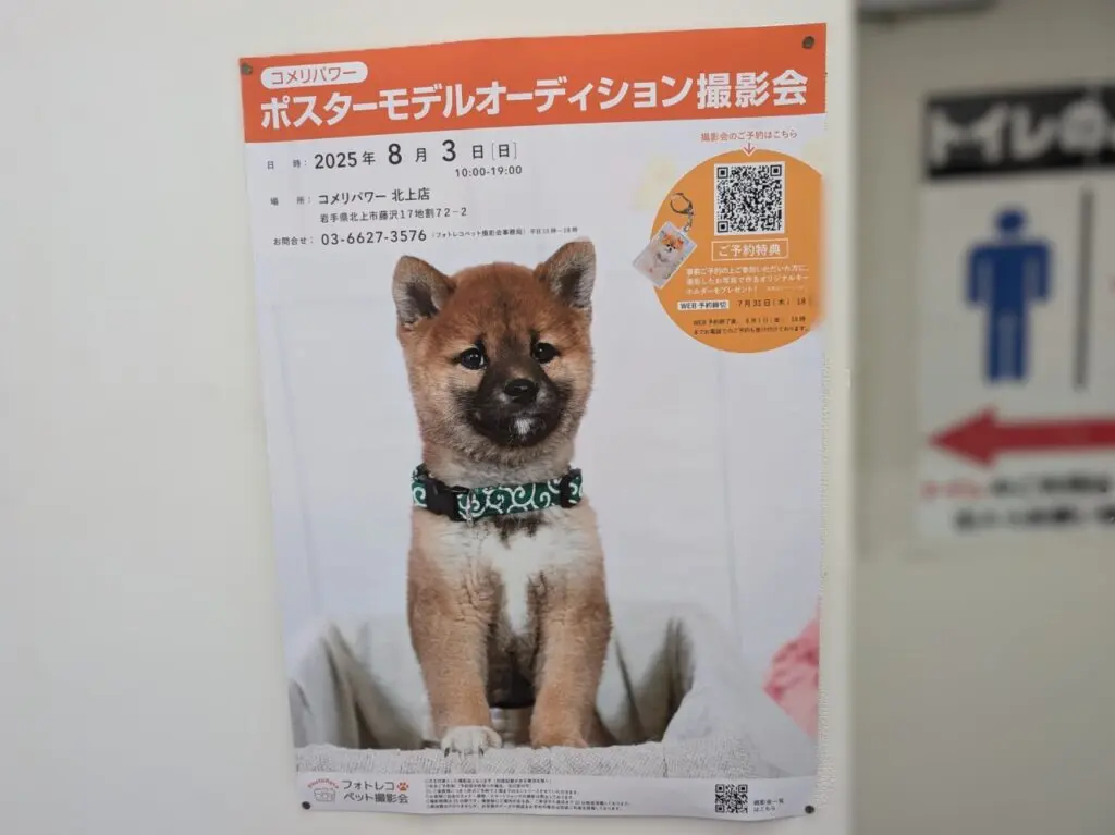 ポスターオーデション
