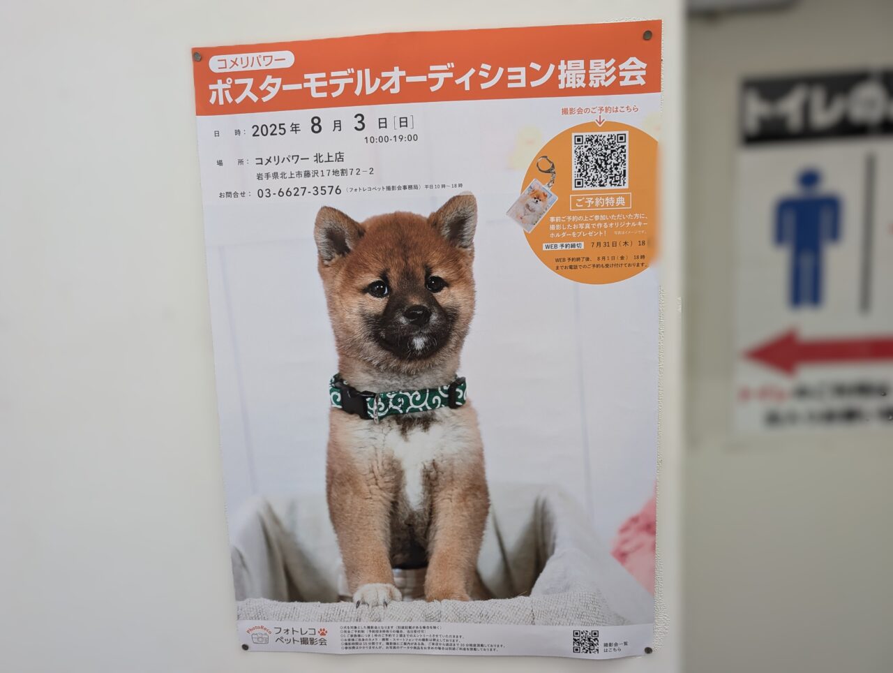 ポスターオーデション