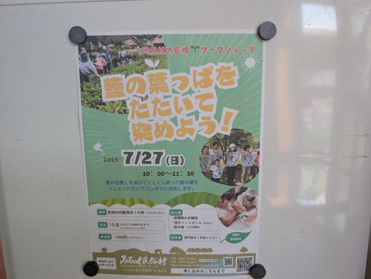 藍の葉っぱをたたいて染めよう