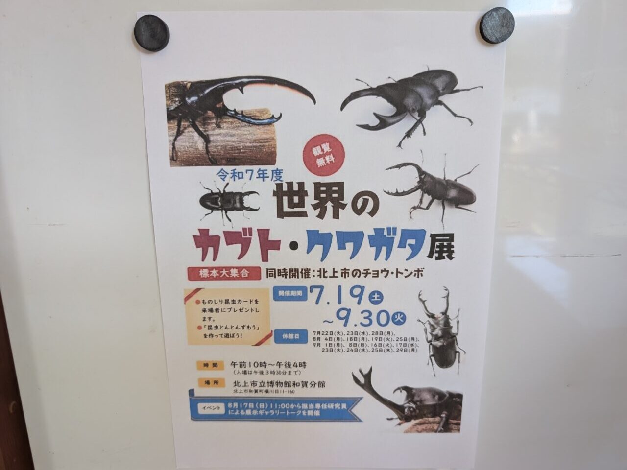 世界のカブト・クワガタ展