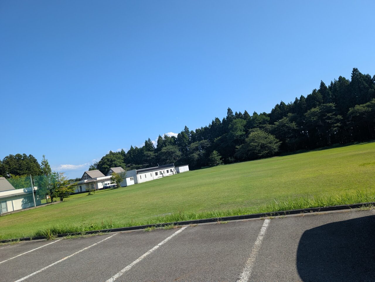 藤根交流