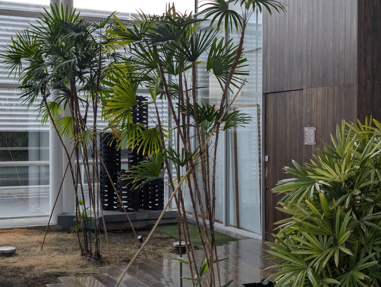 さくらホールさくら