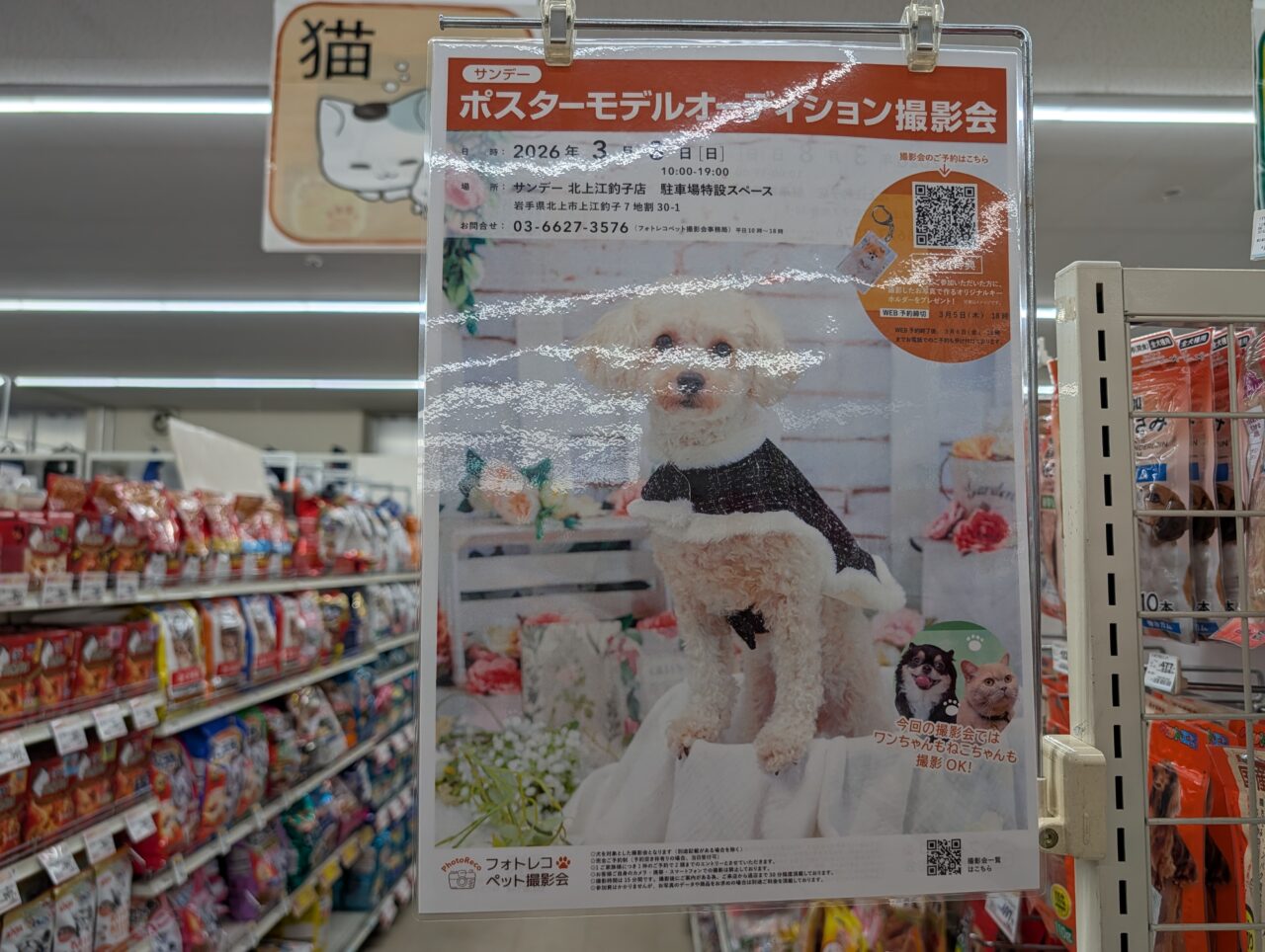 サンデーモデルオーデション