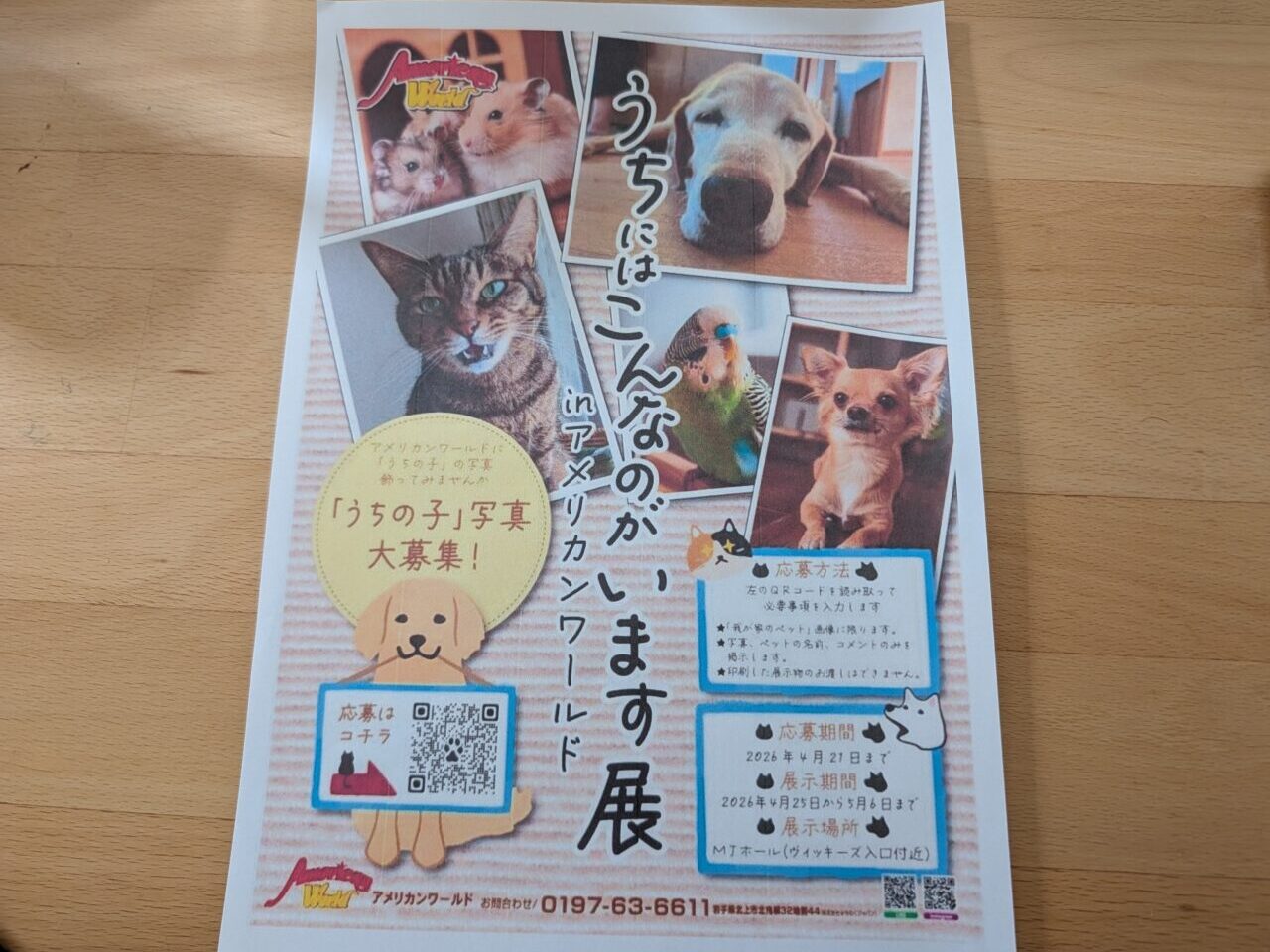 うちにはこんなのがいます