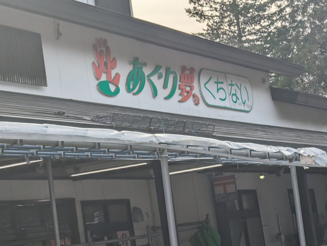 あぐり夢むくちない