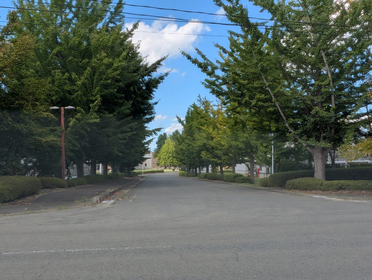 農業公園