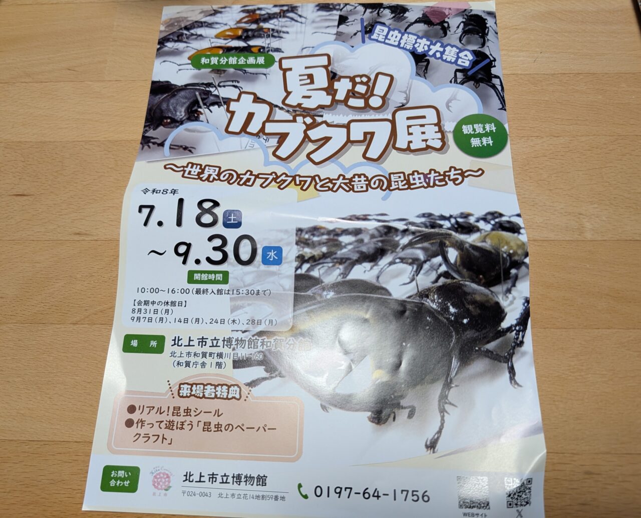 夏だ！カブクワ展